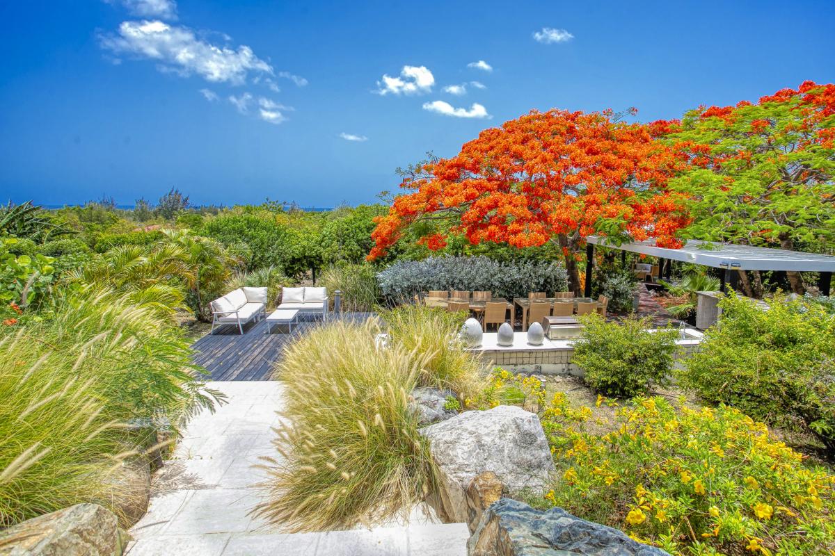 8.Location villa Encore aux Terrres Basses Saint Martin_Jardin